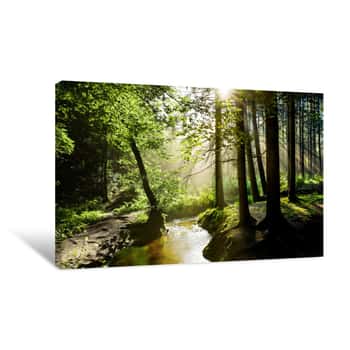 Image of Beautiful Sunrise In A Misty Forest With Sunbeams Shining Through The Trees Canvas Print