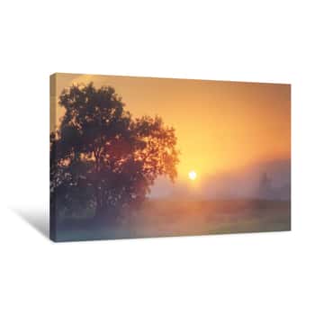 Image of Misty Summer Sunrise Canvas Print