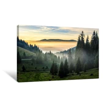Image of Fog On Hot Sunrise In Forest Canvas Print