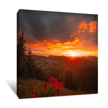 Image of Vivid Wildflower Sunset Square In The Wasatch Mountains, Utah, USA Canvas Print