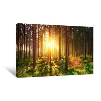 Image of Silent Forest In Spring With Beautiful Bright Sun Rays Canvas Print