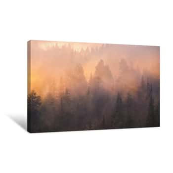 Image of Foggy Sunrise Over A Forest Canvas Print