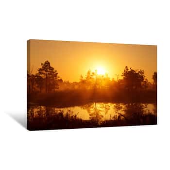 Image of Foggy Sunrise In The Coniferous Forest Above The Marshes Canvas Print