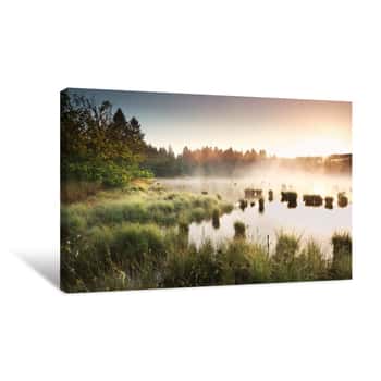 Image of Summer Sunrise Over Wild Swamp Canvas Print