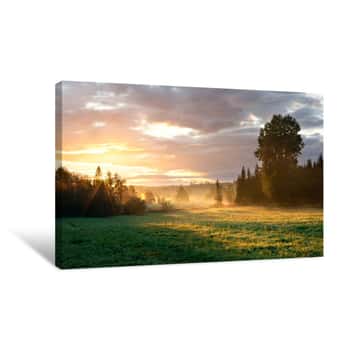 Image of Tranquil Foggy Grassland And Trees At Sunrise Canvas Print