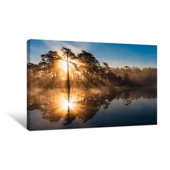 Image of Stunning Sunrise Through Trees And Reflected On Still Lake Canvas Print