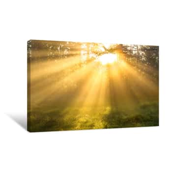 Image of Amazing Landscape With Sun And Forest And Meadow At Sunrise Canvas Print