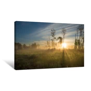 Image of Sunrise In The Foggy Forest, Altai, Russia Canvas Print