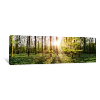 Image of Spring Forest With Bright Sun Shining Through The Trees Canvas Print