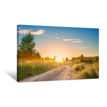 Image of Amazing Summer Rural Landscape With Sunrise Canvas Print