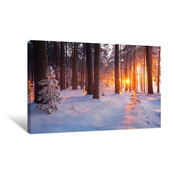 Image of Winter Forest Canvas Print