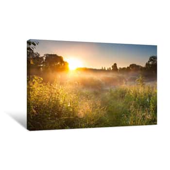 Image of Summer Landscape With Sunrise And Forest And Meadow Canvas Print