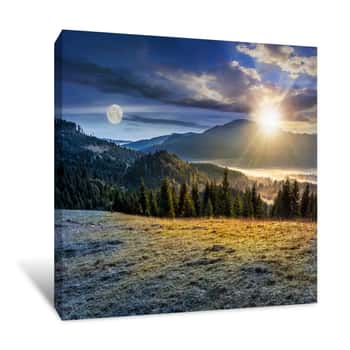 Image of Spruce Forest In Foggy Romanian Mountains Canvas Print