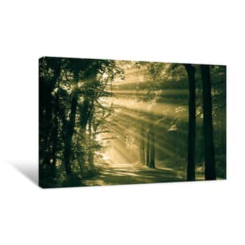 Image of Sun Rays Shining Through The Trees, Vintage Look Canvas Print