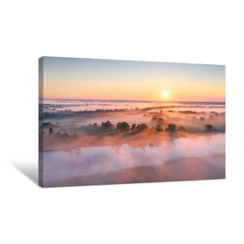 Image of Summer Morning Sunlight Canvas Print