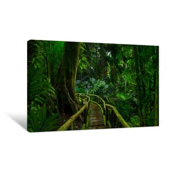 Image of Southeast Asian Rainforest With Deep Jungle   Canvas Print