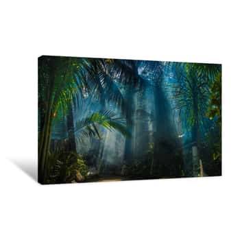 Image of Morning Light In Beautiful Jungle Garden Canvas Print