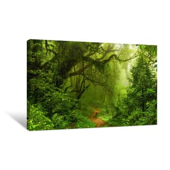 Image of Deep Tropical Jungles Of Nepal Canvas Print