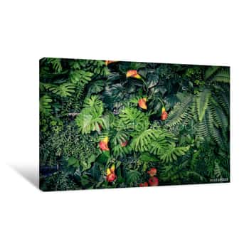 Image of Fashionable Green Jungle Summer Background - In Exotic Vintage Tone Canvas Print