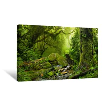 Image of Nepal Jungle With River Canvas Print