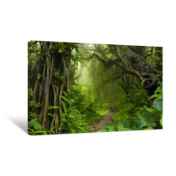 Image of Thailand Jungle With Canvas Print