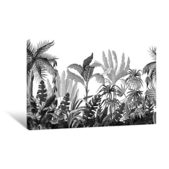 Image of Seamless Border With Jungle Trees In Monochrome Style Canvas Print