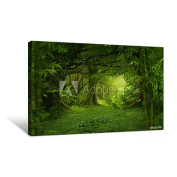 Image of Tropical Jungle Canvas Print