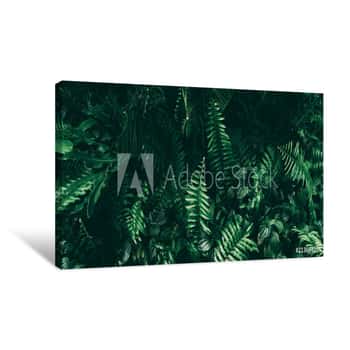 Image of Tropical Green Leaf In Dark Tone Canvas Print