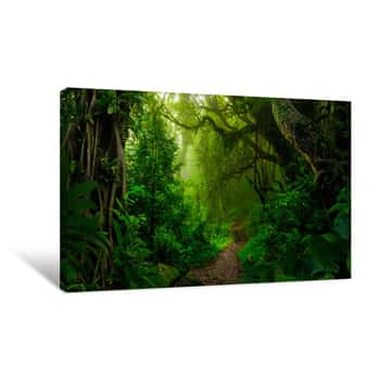 Image of Tropical Jungles Of Southeast Asia In August Canvas Print