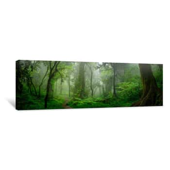 Image of Deep Tropical Jungles Of Southeast Asia In August Canvas Print