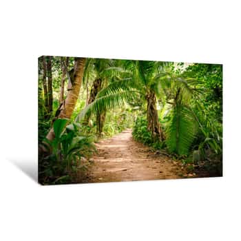 Image of Ground Rural Road In The Middle Of Tropical Jungle Canvas Print
