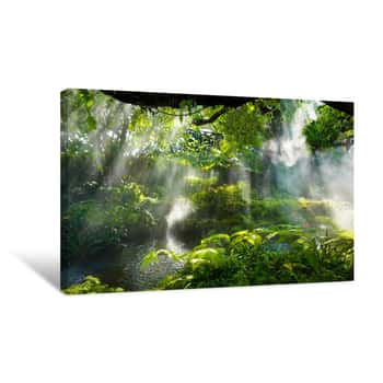 Image of Tropical Jungle With River And Sun  Beam  And Foggy In The Garden Canvas Print