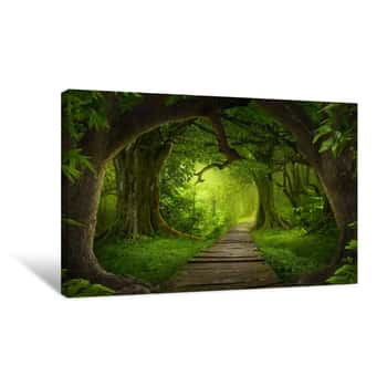 Image of Asian Rainforest Jungle Canvas Print