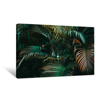 Image of Deep Dark Green Palm Leaves Pattern  Creative Layout, Horizontal Canvas Print