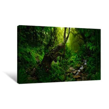 Image of Tropical Jungles Of Southeast Asia In August Canvas Print