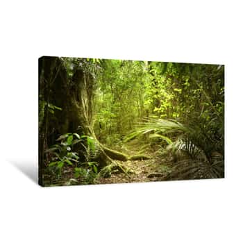 Image of Jungle Canvas Print