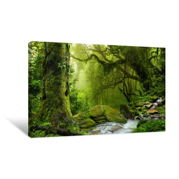 Image of Nepal Jungle With Ver Canvas Print