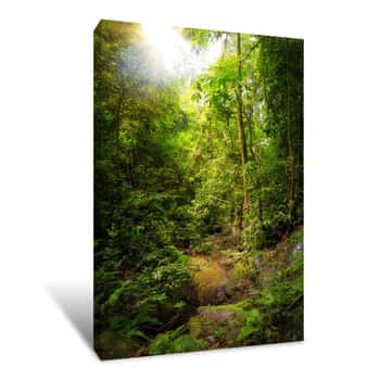 Image of Beautiful Landscape View Of The Rainforest During A Ecotourism Jungle Hike In Gunung Leuser National Park, Bukit Lawang, Sumatra, Indonesia Canvas Print