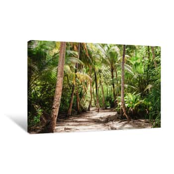 Image of Tropical Jungle With Tall Green Palm Trees Canvas Print