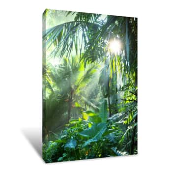 Image of Jungle Canvas Print