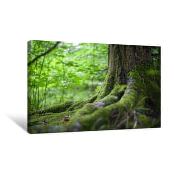 Image of Wenderful Places Of Nature Canvas Print