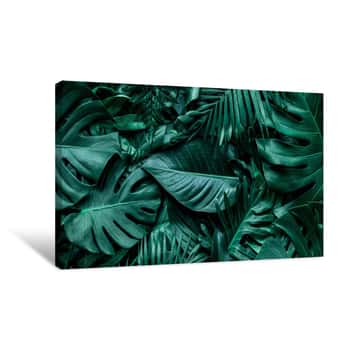 Image of Closeup Nature View Of Green Monstera Leaf And Palms Background  Flat Lay, Dark Nature Concept, Tropical Leaf Canvas Print