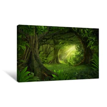 Image of Asian Tropical Rainforest Canvas Print
