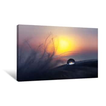 Image of Sunrise Morning Dew Canvas Print