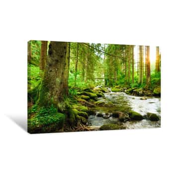 Image of Flowing Stream On The Forest Canvas Print