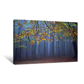 Image of Bright Leaves In A Dark Forest Canvas Print