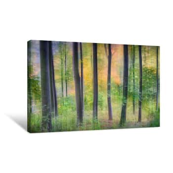 Image of Colorful tree forest Canvas Print