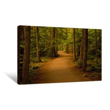 Image of Path In The Forest/woods Canvas Print