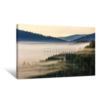 Image of Spruce Forest On Mountain Hill Side In Fog On Sunrise Canvas Print