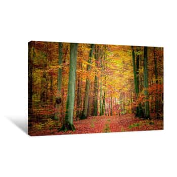 Image of Golden And Brown In The Forest In Autumn, Poland Canvas Print